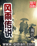 風雨傳說 小說封面
